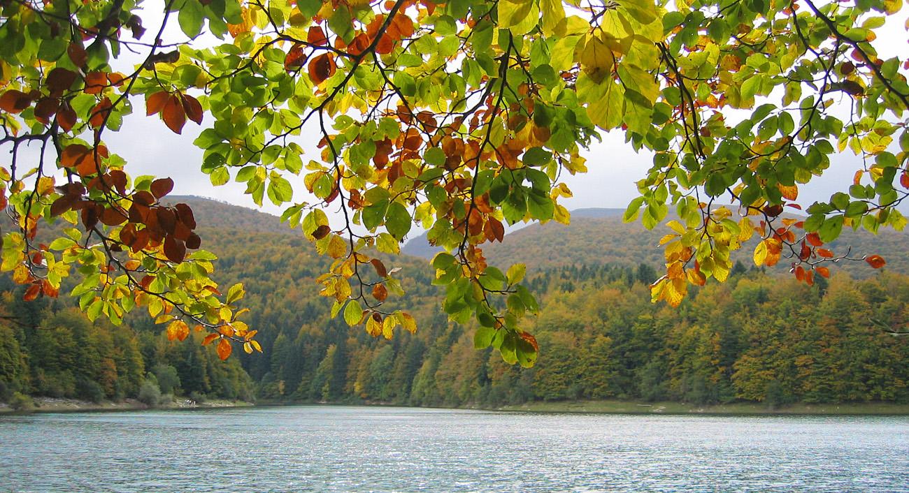 Information point and river in the Irati Forest